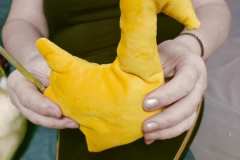 650335213_764352279863093_362890852732259178_n