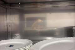 825260810_982606808194725_5370784274858988590_n